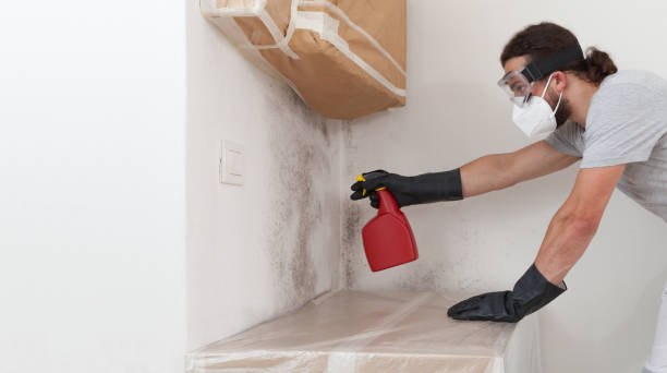 Professional Mold Removal technician working in Fairfield, TX