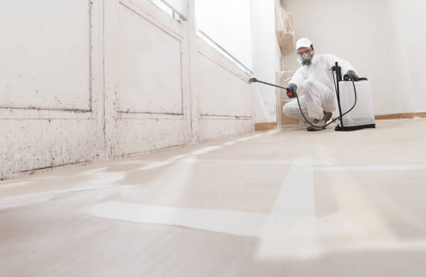 24/7 Emergency Mold Removal experts in Fairfield, TX