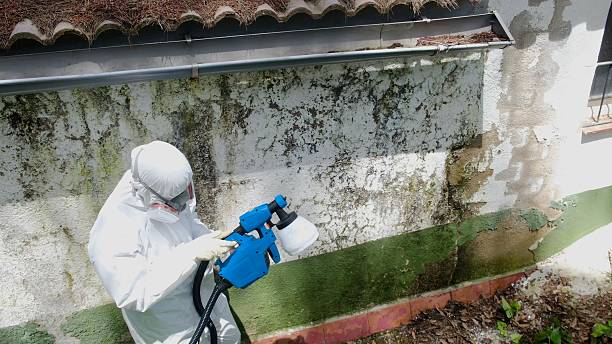 Trusted Commercial Mold Remediation service in Fairfield, TX - Cheap Mold Removal